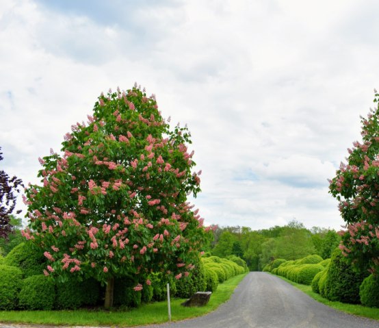 Bloom Beauty Ottawa